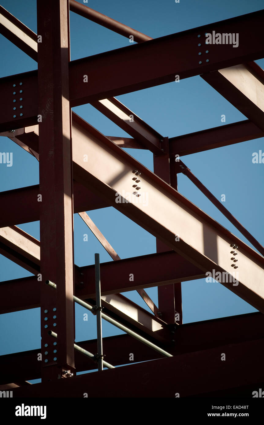 Bulloni Antifurto INOX - Ferro Bulloni Italia - Foto 3