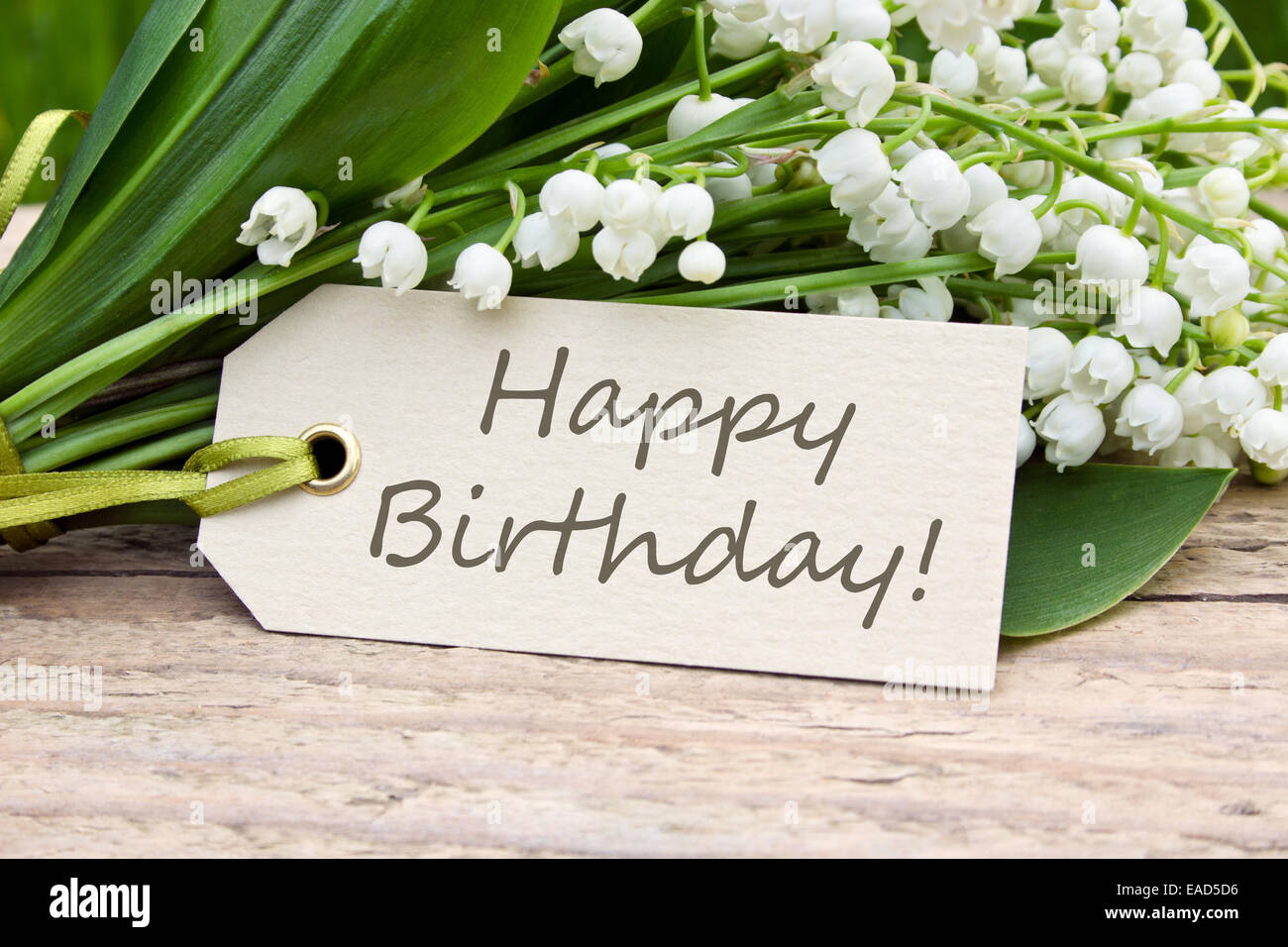 Inglese Biglietto Di Auguri Di Compleanno Con Il Giglio Della Valle Foto Stock Alamy