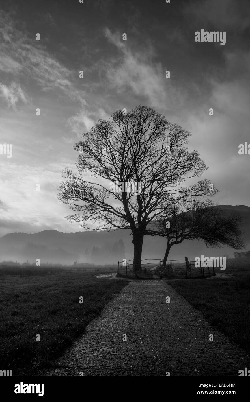 Il percorso di Gelert la sua tomba a Beddgelert, Gwynedd, Galles Foto Stock