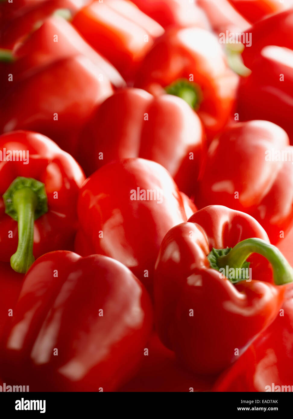 Il pepe, il peperone, Capsicum annuum, rosso oggetto. Foto Stock