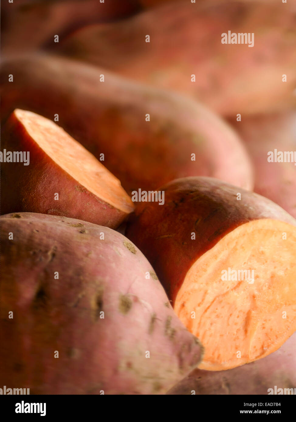 La patata dolce, Ipomoea batatas, rosso oggetto. Foto Stock