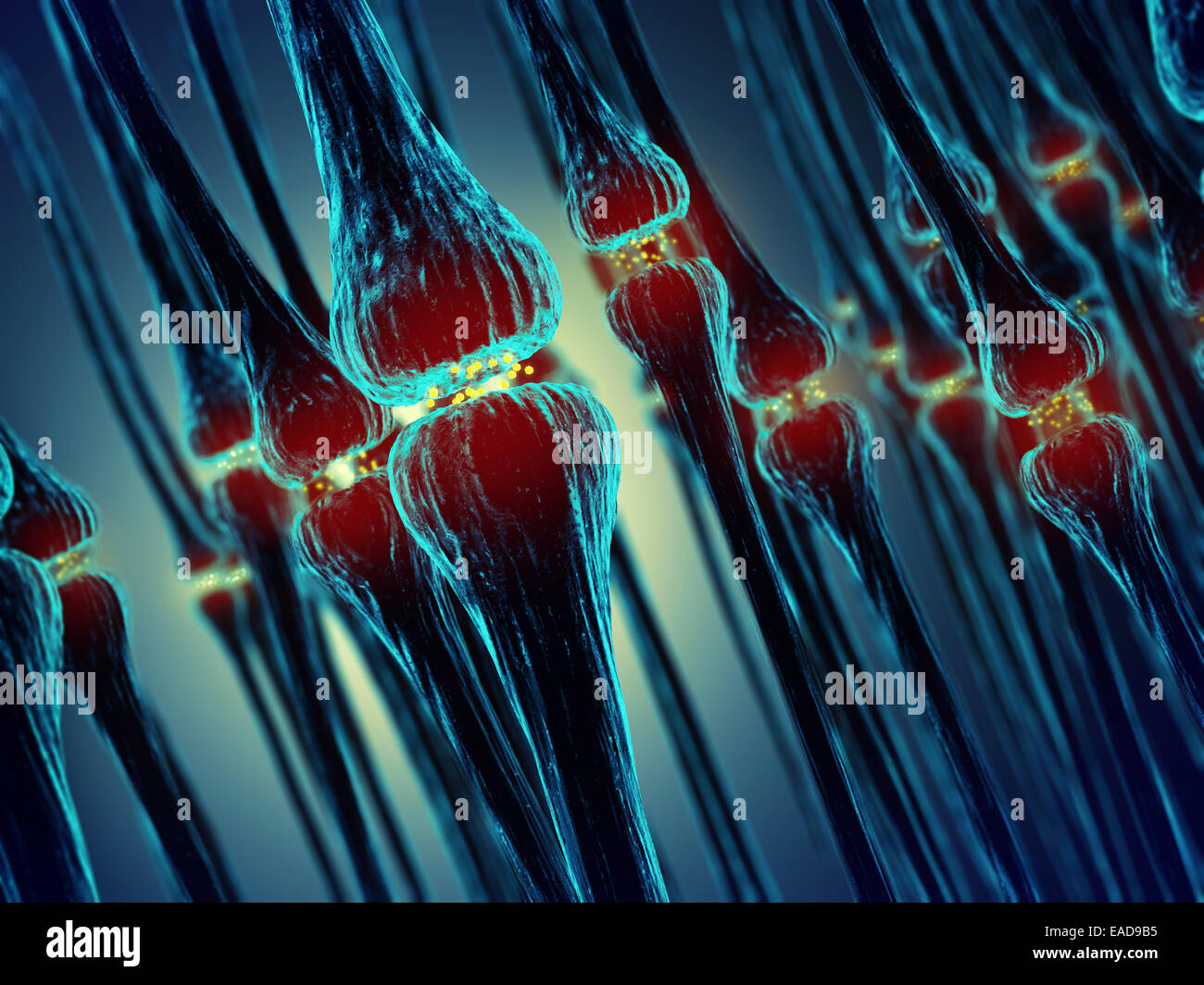 Trasmissione sinaptica , sinapsi , sistema nervoso umano Foto Stock
