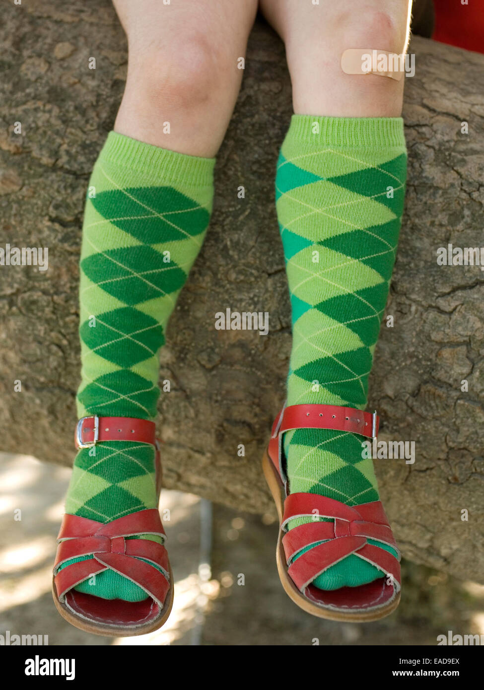 Ragazza con Band-Aid sul ginocchio, con Gambaletti e sandali seduto sul grande ramo di albero Foto Stock