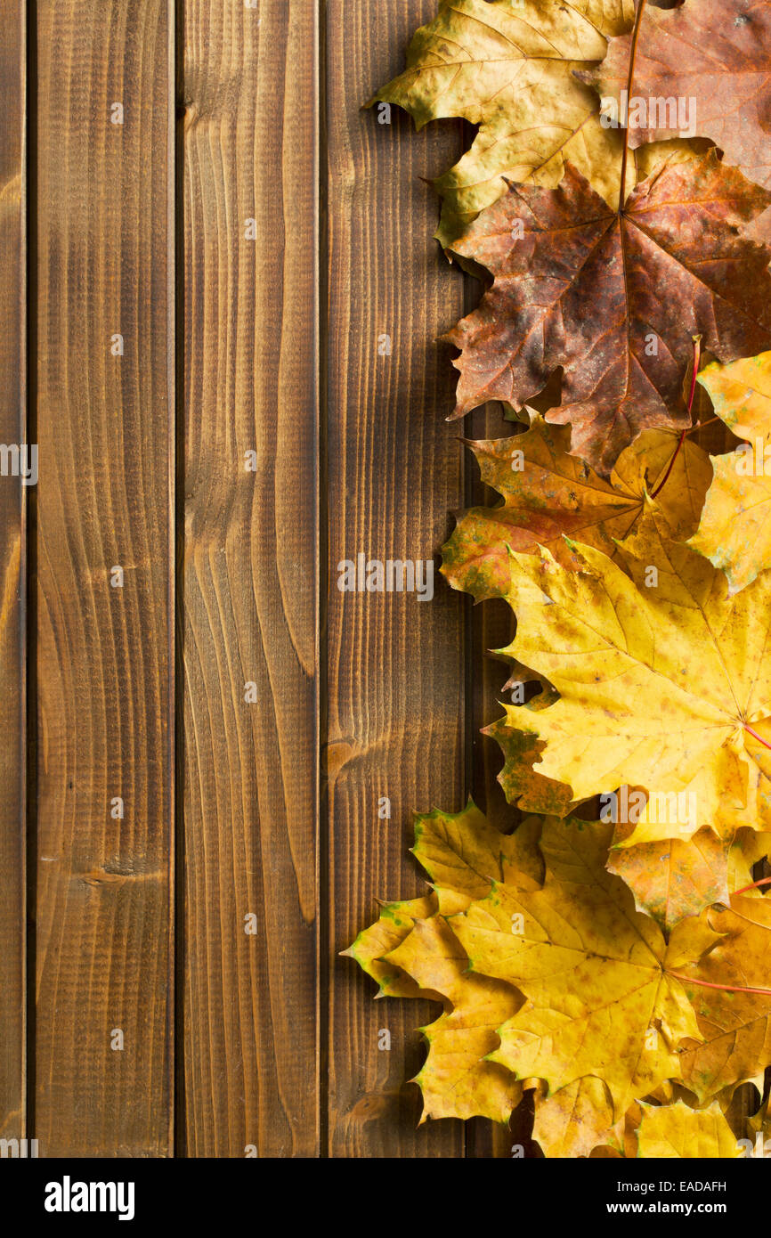 Le foglie di autunno su sfondo di legno con spazio di copia Foto Stock