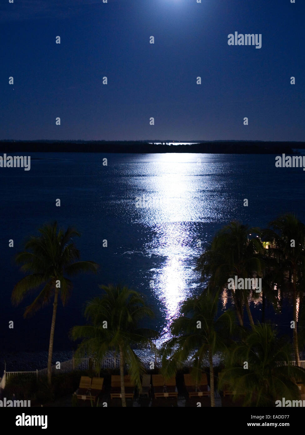 La luce della luna sulla baia di tropicale Foto Stock
