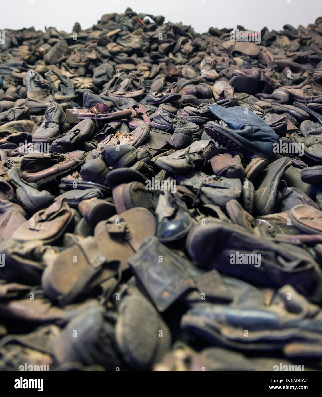 AUSCHWITZ, Polonia - 25 ottobre 2014: Mostra dei rimanenti beni (scarpe) delle persone uccise in Auschwitz, un ex Foto Stock