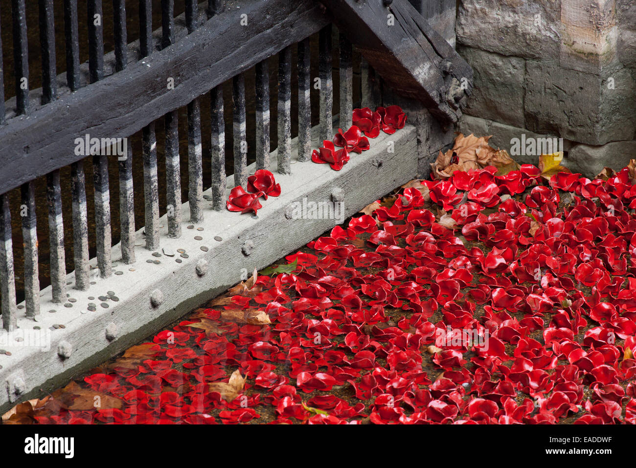 Il sangue spazzata di terre e mari del display rosso presso la Torre di Londra Foto Stock