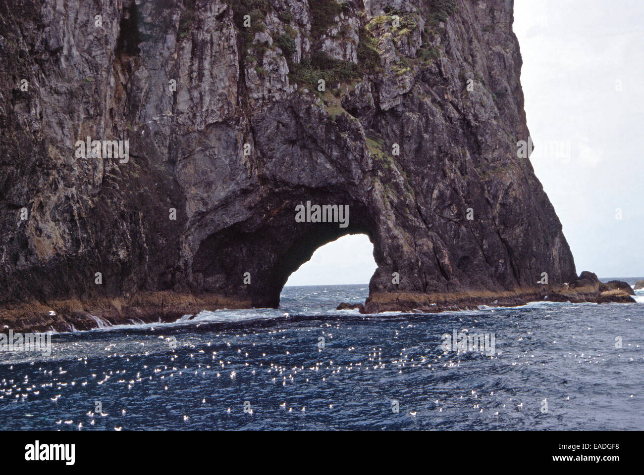 Foro nella roccia,Piercy Island,Nuova Zelanda Foto Stock