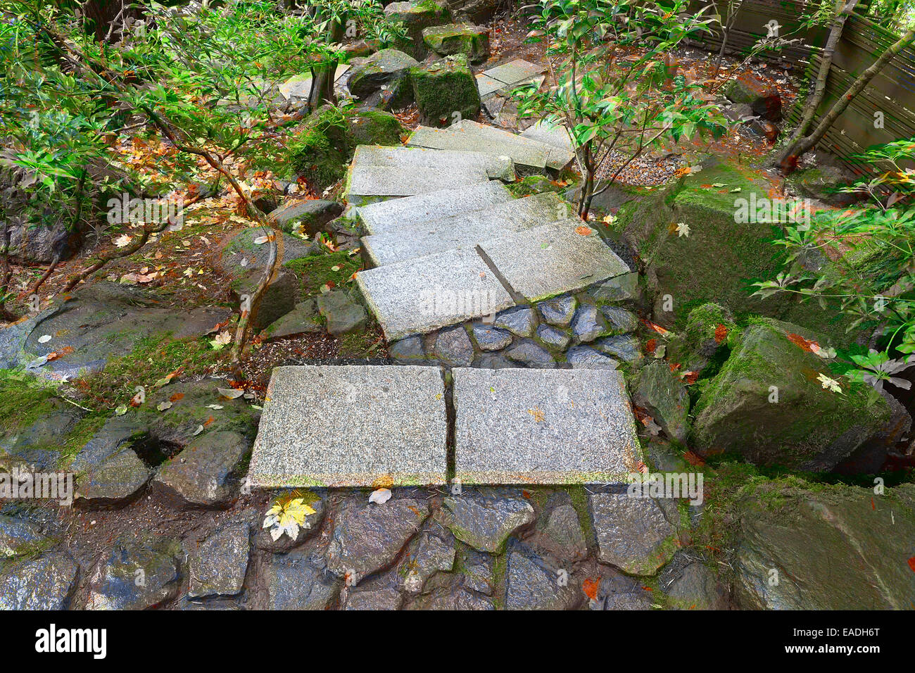 Scale di pietra passi al Portland giardino giapponese in caduta stagione Foto Stock