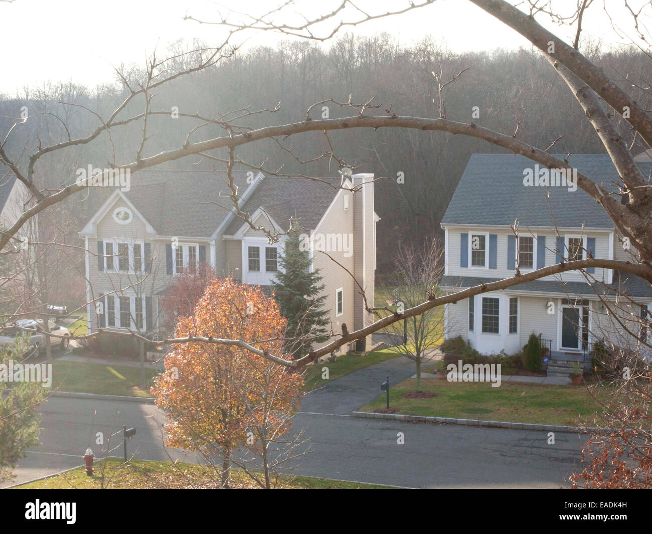 Vista di sviluppo suburbano Foto Stock