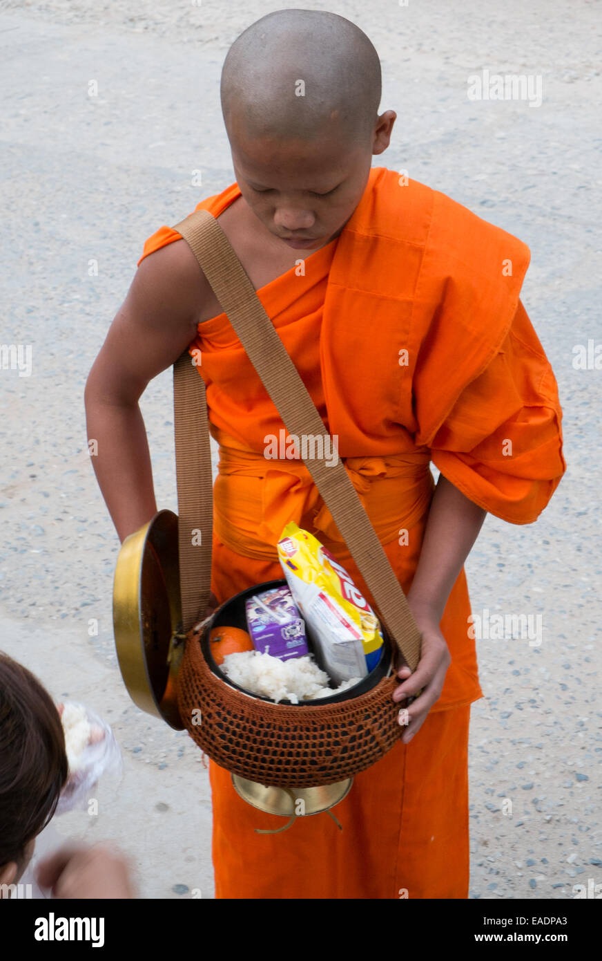 I monaci buddisti camminano molto presto con bocce che pregano ricevere, ricevere elemosine, cibo dai devoti, villaggio di Pakbeng, fiume Mekong, Laos, Asia. Foto Stock