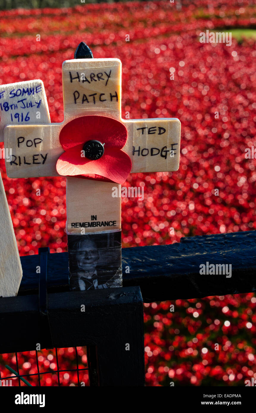 Londra, Regno Unito. Xii Nov, 2014. Harry patch, la più lunga surviver vivente della Prima Guerra Mondiale ha onorato con la sua famiglia con una croce personali dalla ceramica display di papavero per commemorare le vittime della guerra. Credito: Roger Allen Fotografia/Alamy Live News Foto Stock