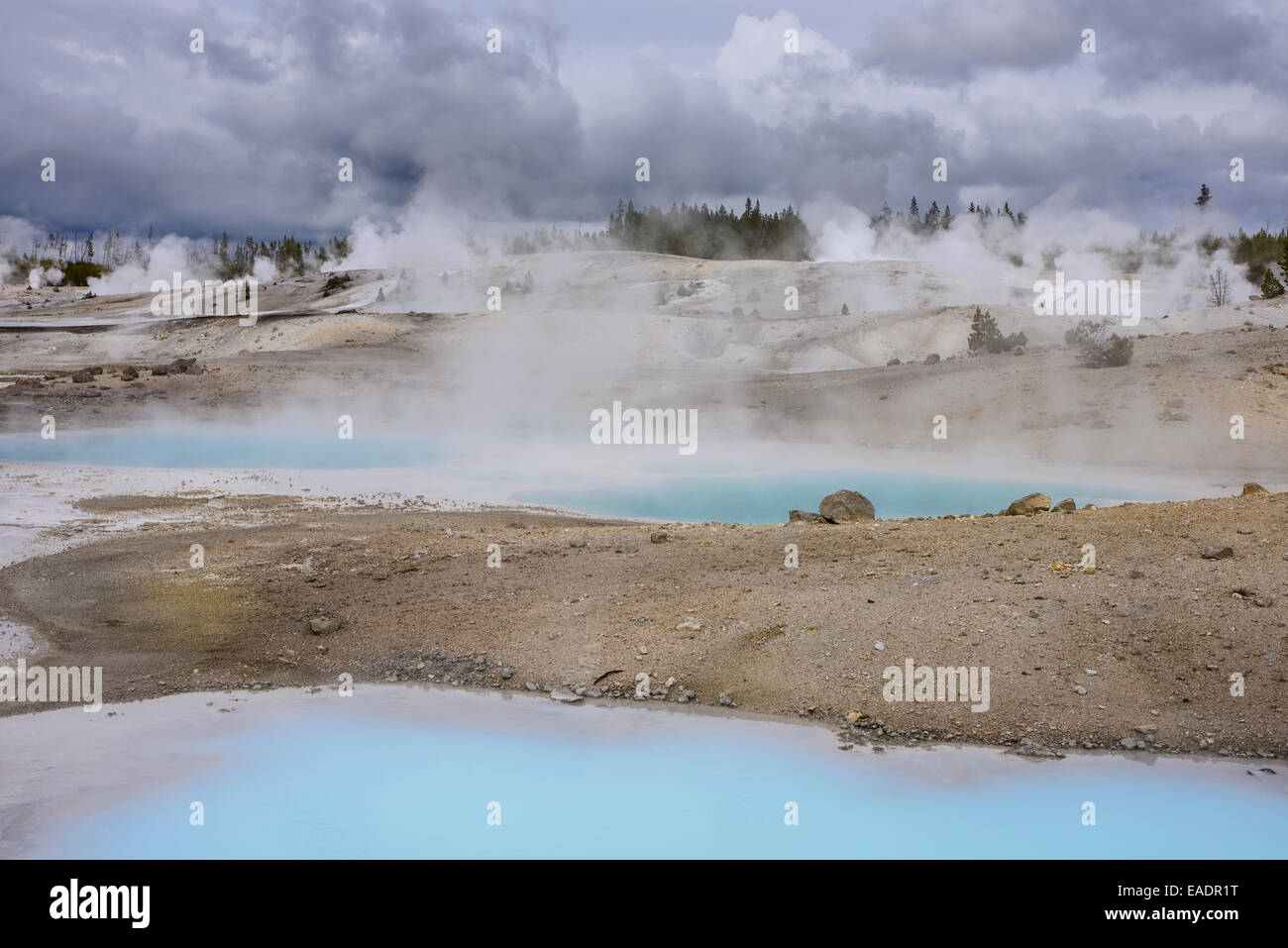 Piscina colloidale in porcellana bacino di Norris Geyser Basin presso il Parco Nazionale di Yellowstone. Foto Stock