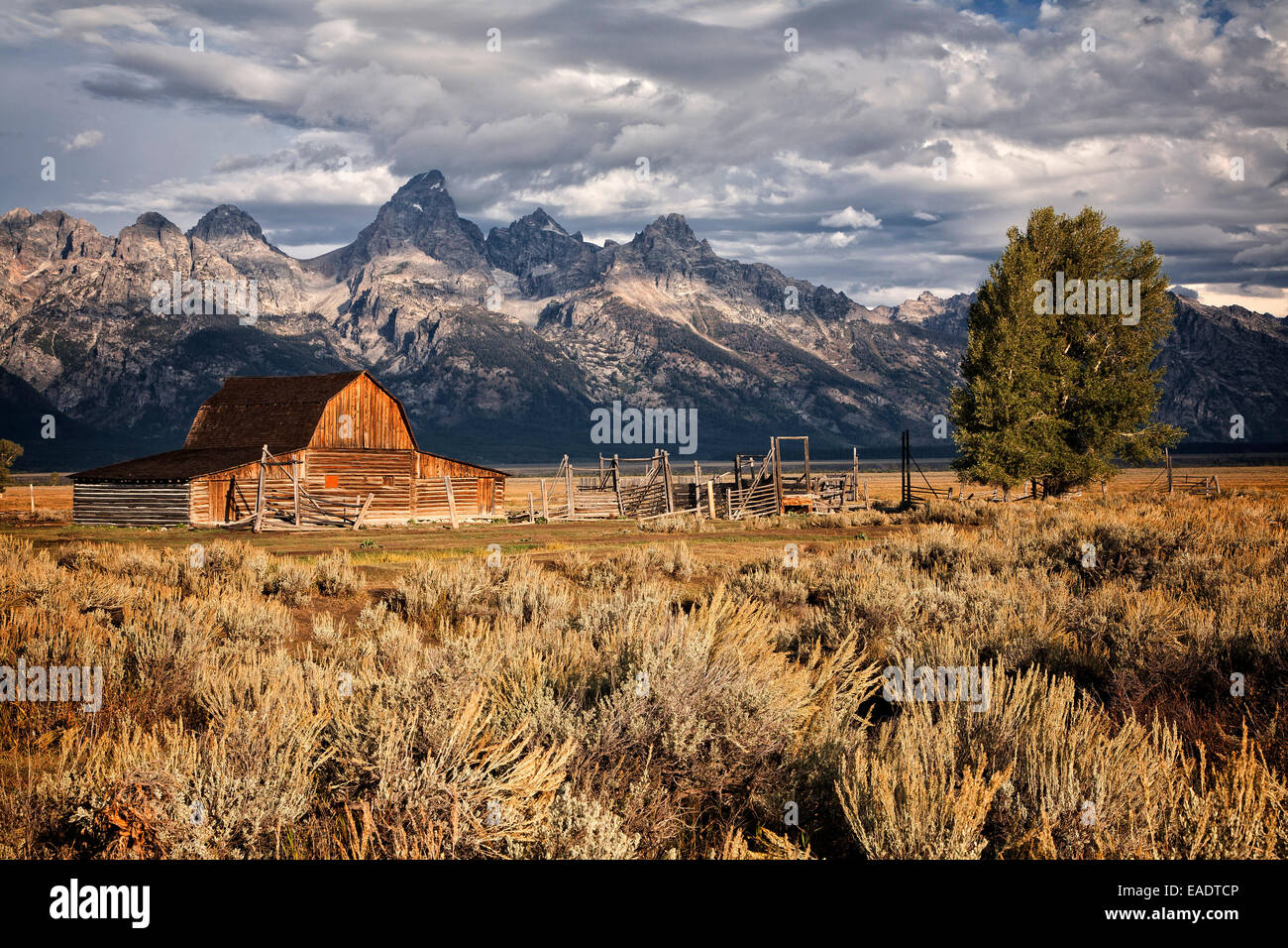 John Moulton granaio sulla riga mormone vicino al Parco Nazionale di Grand Teton. Il Wyoming. Foto Stock