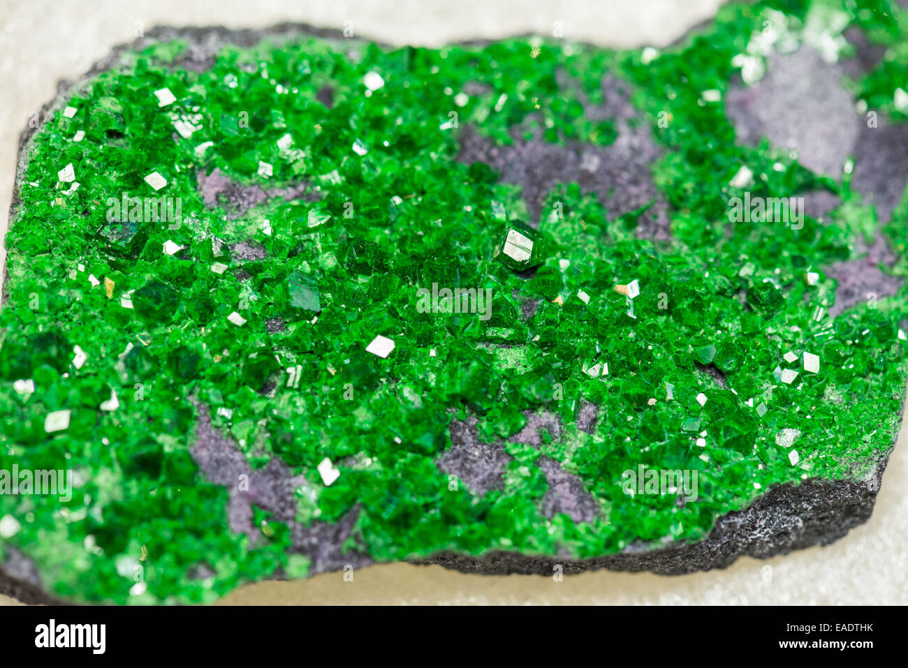 La formazione di cristalli di colore verde brillante Uvarovite, una varietà di cuscinetto di cromo di granato. Foto Stock