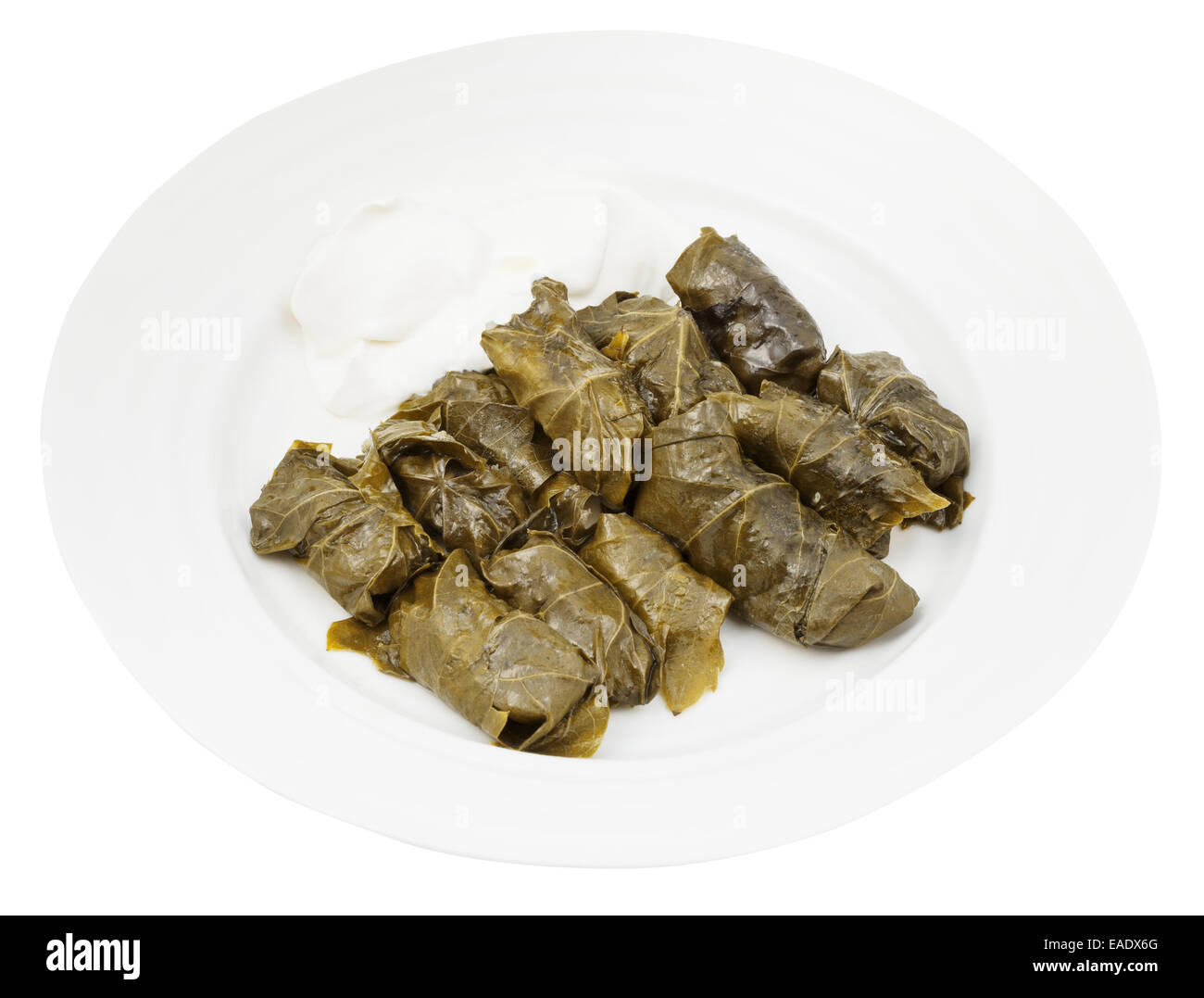 Porzione pasto armeno - dolma da uve di foglie e tritare sulla piastra isolata su sfondo bianco Foto Stock