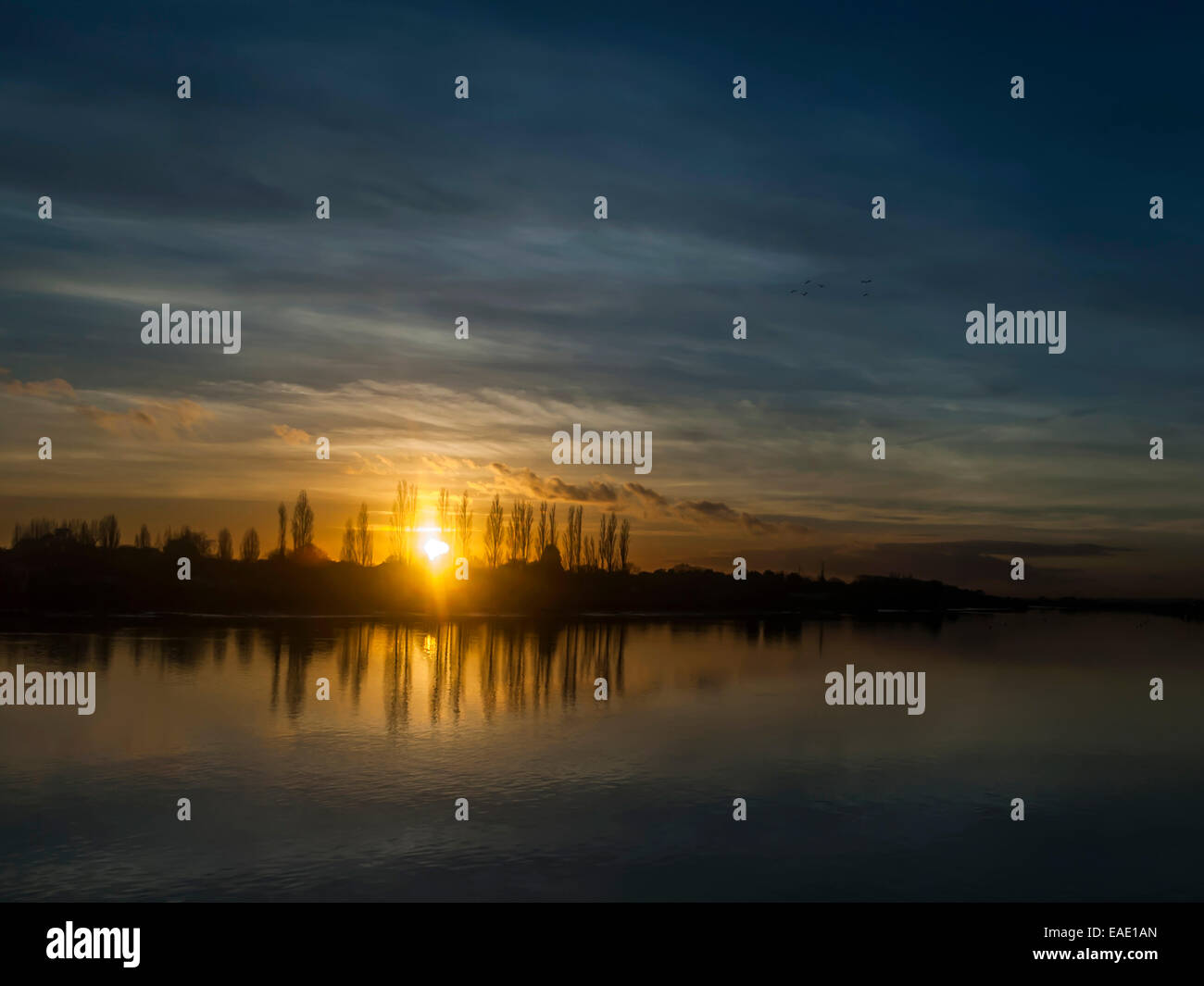 Il tramonto del Crouch Estuary raffigurante una linea di pioppi lungo la riva del fiume riflettendo su un fiume calmo con la luce del cielo fino Foto Stock