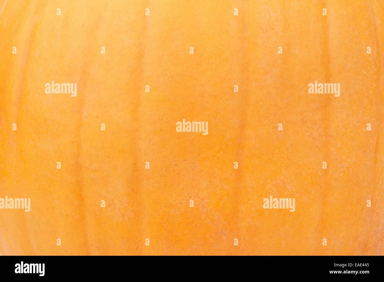 Arancione zucca la texture della pelle sfondo Foto Stock