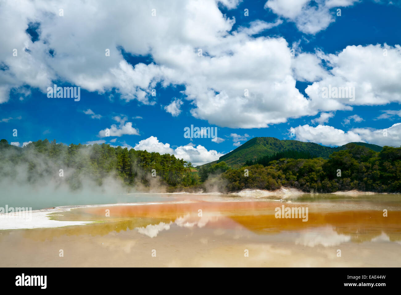 Padella piatta piscina al Wai-O-Tapu area geotermica in Nuova Zelanda Foto Stock