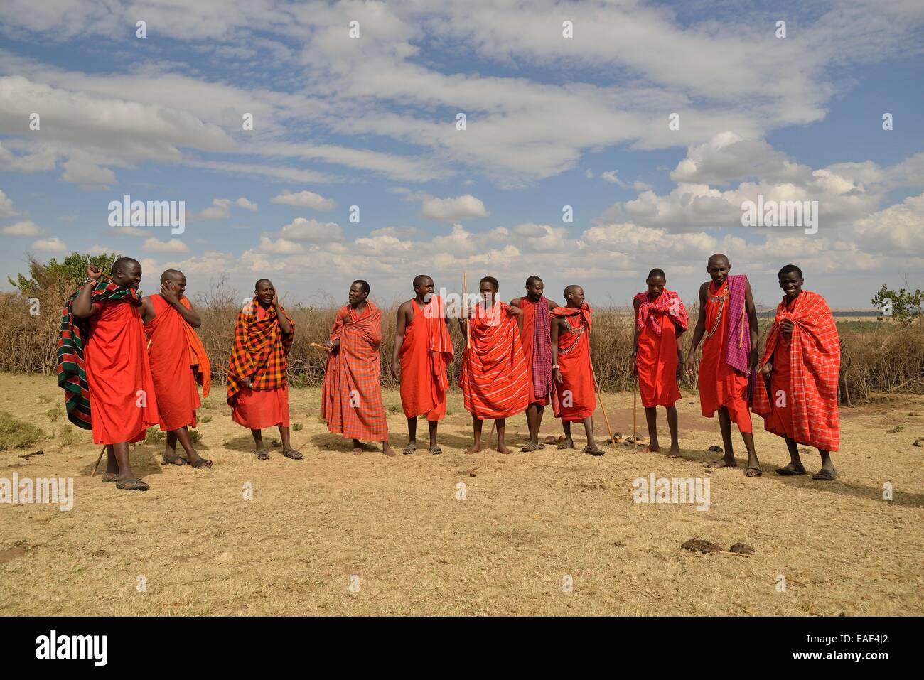 Maasai ad una performance di danza, Massai Mara, Enkutoto, Serengeti, Rift Valley provincia, Kenya Foto Stock