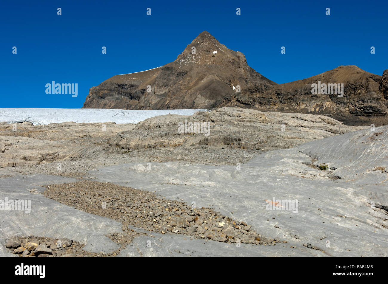 La roccia esposta del ghiacciaio Tsanfleuron sotto Oldenhorn montagna, Alpi Bernesi, Canton Vallese, Svizzera Foto Stock