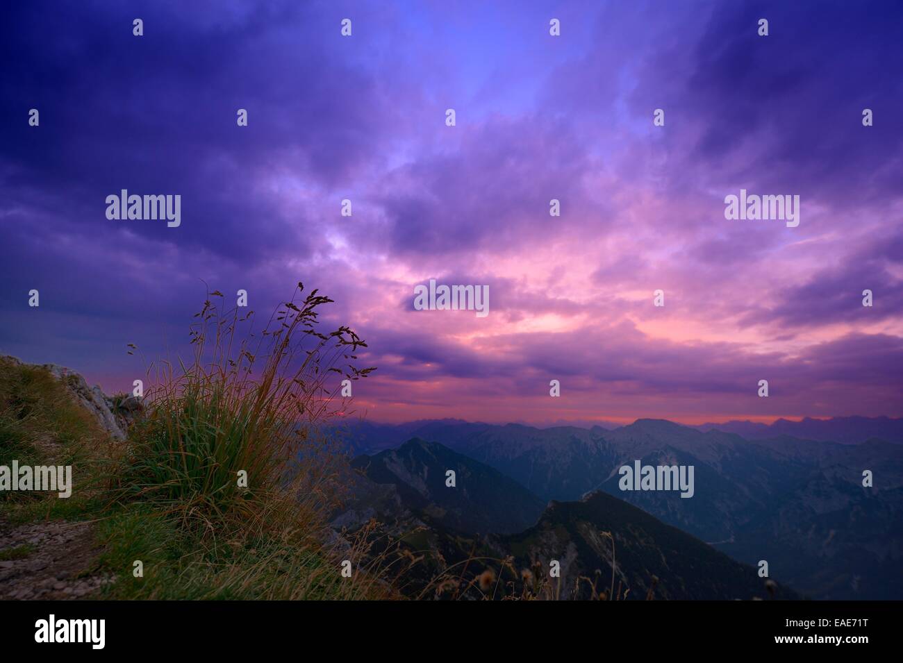 Ciuffo di erba al crepuscolo, paesaggio di montagna sul retro, Alpi Ammergau, Reutte, Distretto di Reutte, Tirolo, Austria Foto Stock