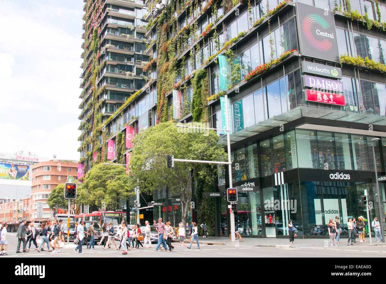 Un parco centrale di sviluppo appartamenti case e le unità in Chippendale,Sydney, Nuovo Galles del Sud, Australia Foto Stock