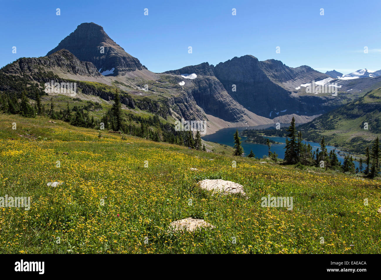 Lago di nascosto con montagne di Reynolds, il Parco Nazionale di Glacier, Montana, Stati Uniti Foto Stock