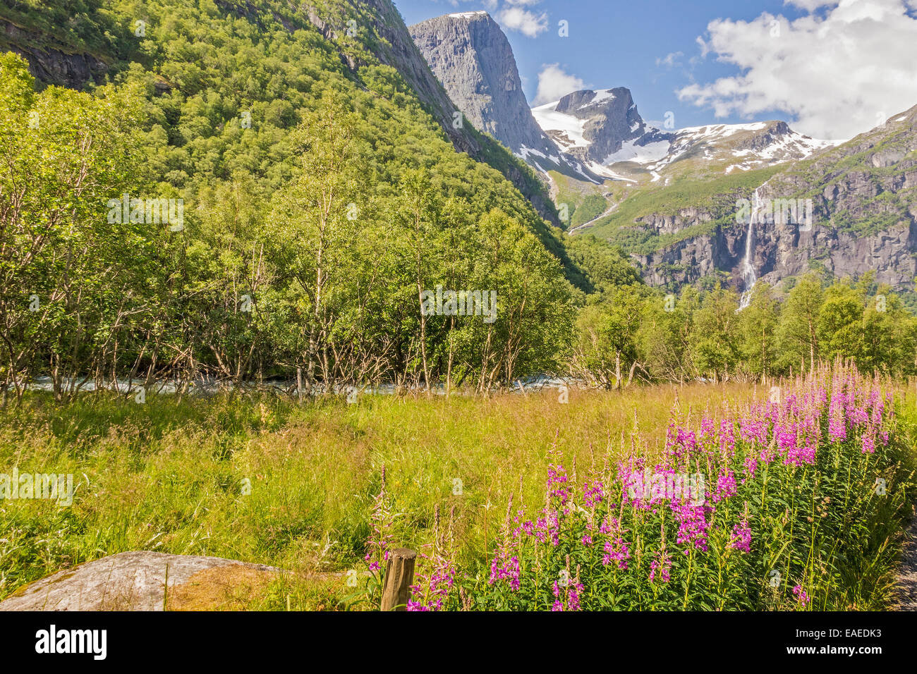 Jostedalsbreen parco nazionale in Norvegia Foto Stock