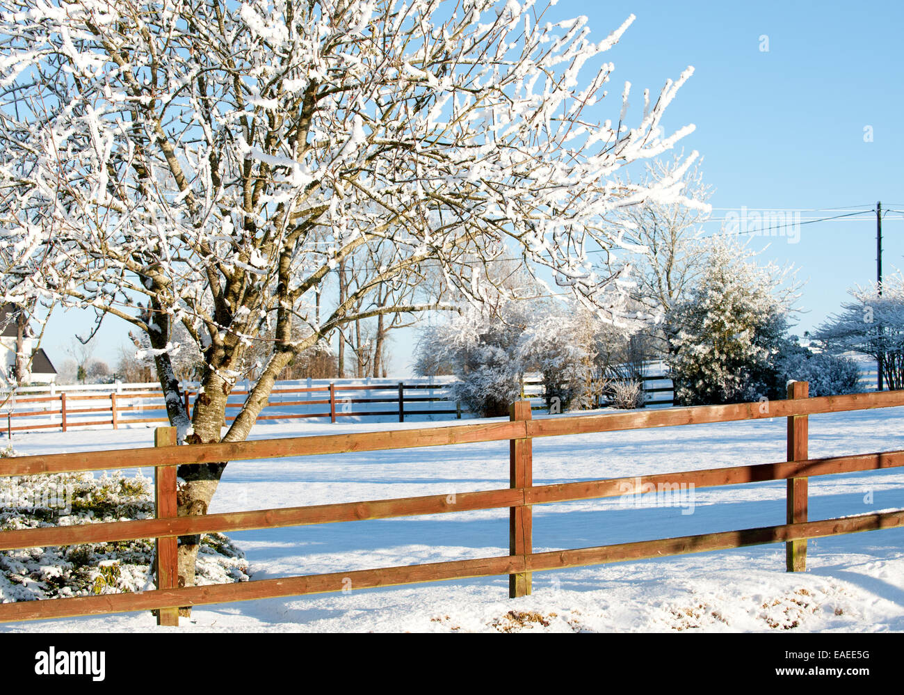 Recinti di legno nel periodo invernale Foto Stock