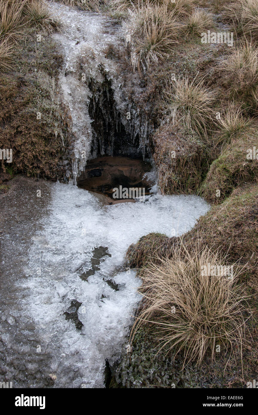 Congelati moorland stream su Kinder Scout nel Peak District, Derbyshire. Bordato con formazioni di ghiaccio e la brughiera di graminacee. Foto Stock