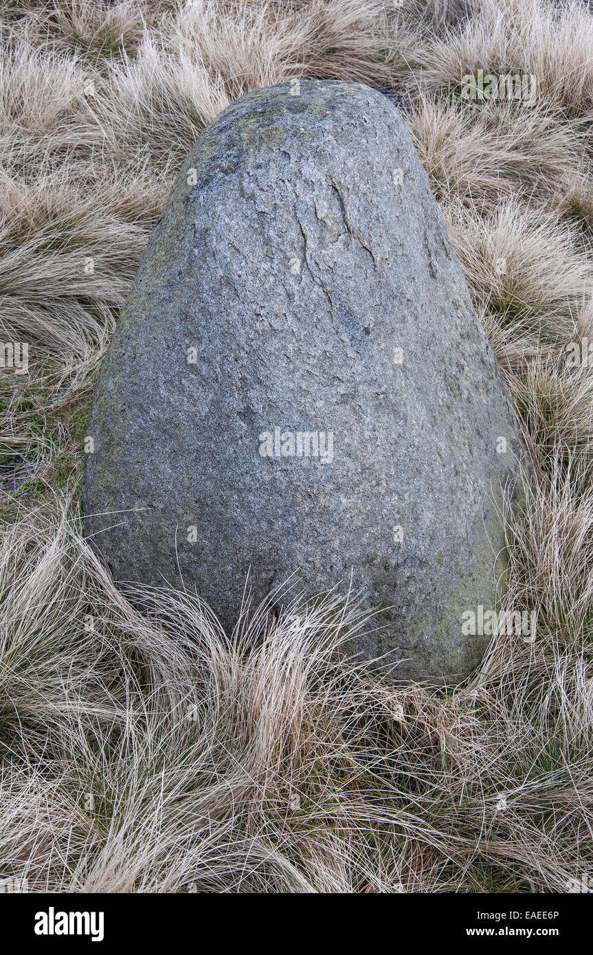 Texture in un paesaggio di brughiera. Immagine astratta di gritstone rock e la brughiera di graminacee su Kinder Scout nel Derbyshire. Foto Stock