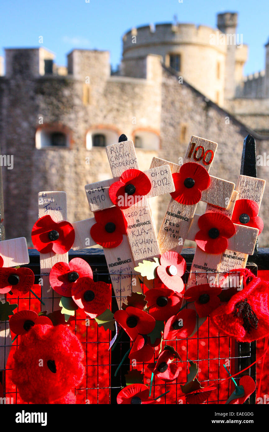 9 novembre 2014; GB, UK, Inghilterra, Londra, Torre di Londra, commemorazione centenaria della Prima Guerra Mondiale, "per mare, Per Terram, 'via mare, via terra' il Cenotafio. Foto Stock