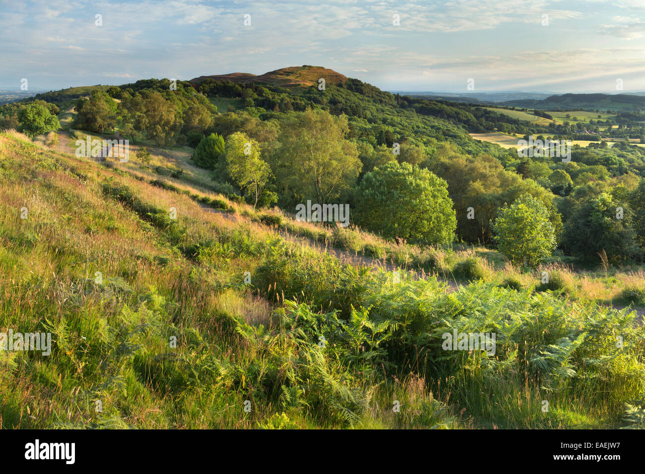 Un paio di sentieri attraversano il lato di Black Hill, Malvern con la luce del tramonto incandescente su British Camp. Foto Stock