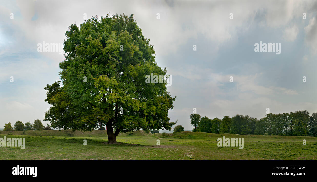 All'interno di Danebury Hill Fort mostrando ingresso e banca di recinzione Foto Stock