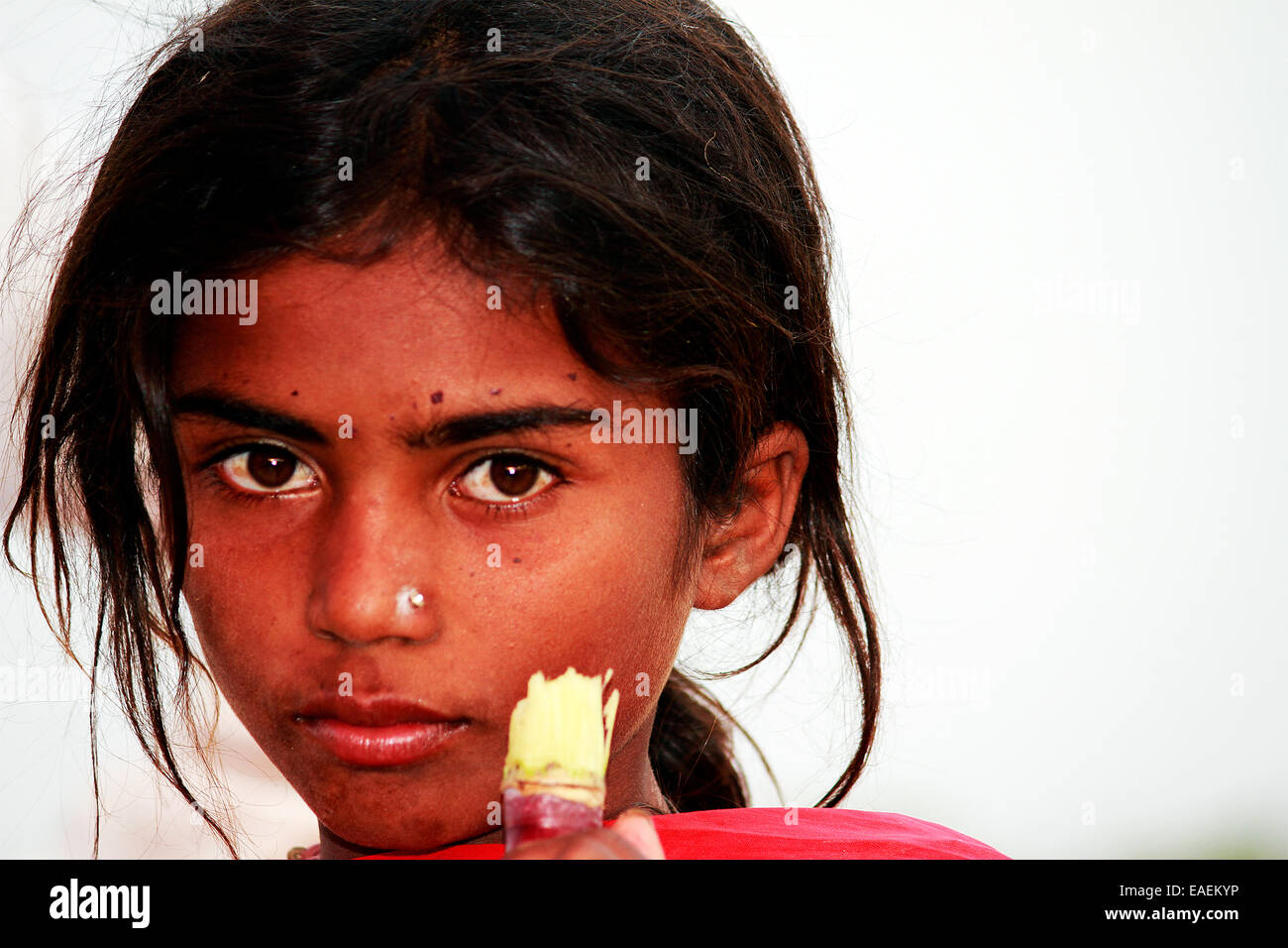 Bambino, ragazza, poveri, abitante, indiano, pushkar Rajasthan, India. Foto Stock