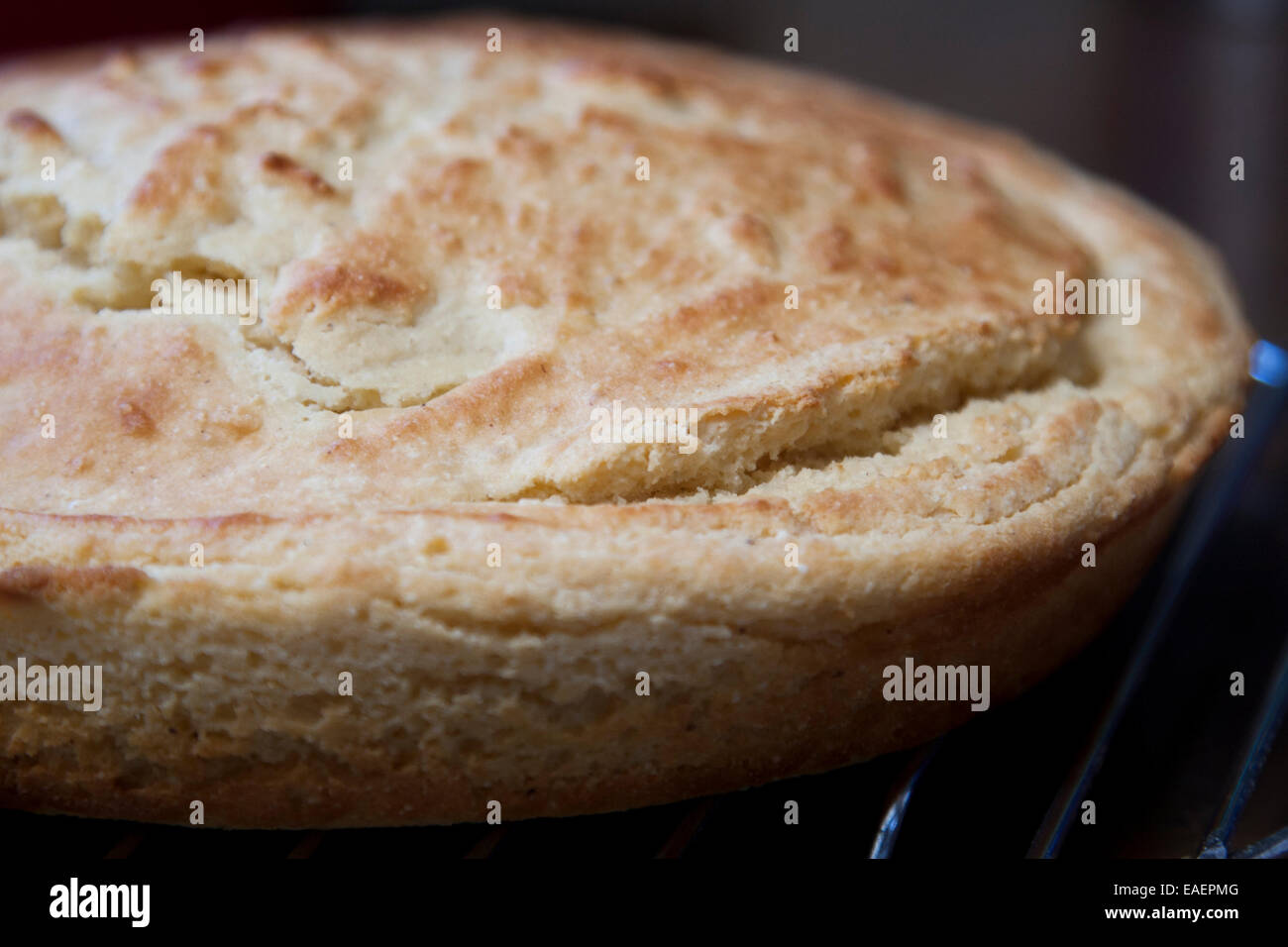 Cornbread fresco di forno. Foto Stock