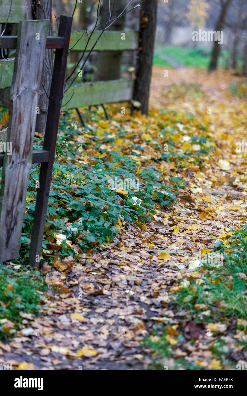 Giardino in legno recinto Foglie di autunno sul percorso Foto Stock
