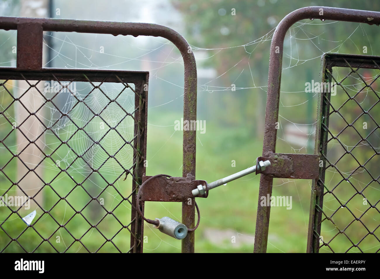 Antico cancello arrugginito con serratura chiusa e spider web su di esso Foto Stock