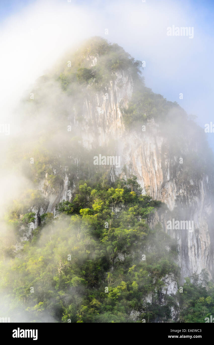 Lussureggiante calcare alta montagna coperta di nebbia circondato da foreste tropicali della Thailandia. Foto Stock