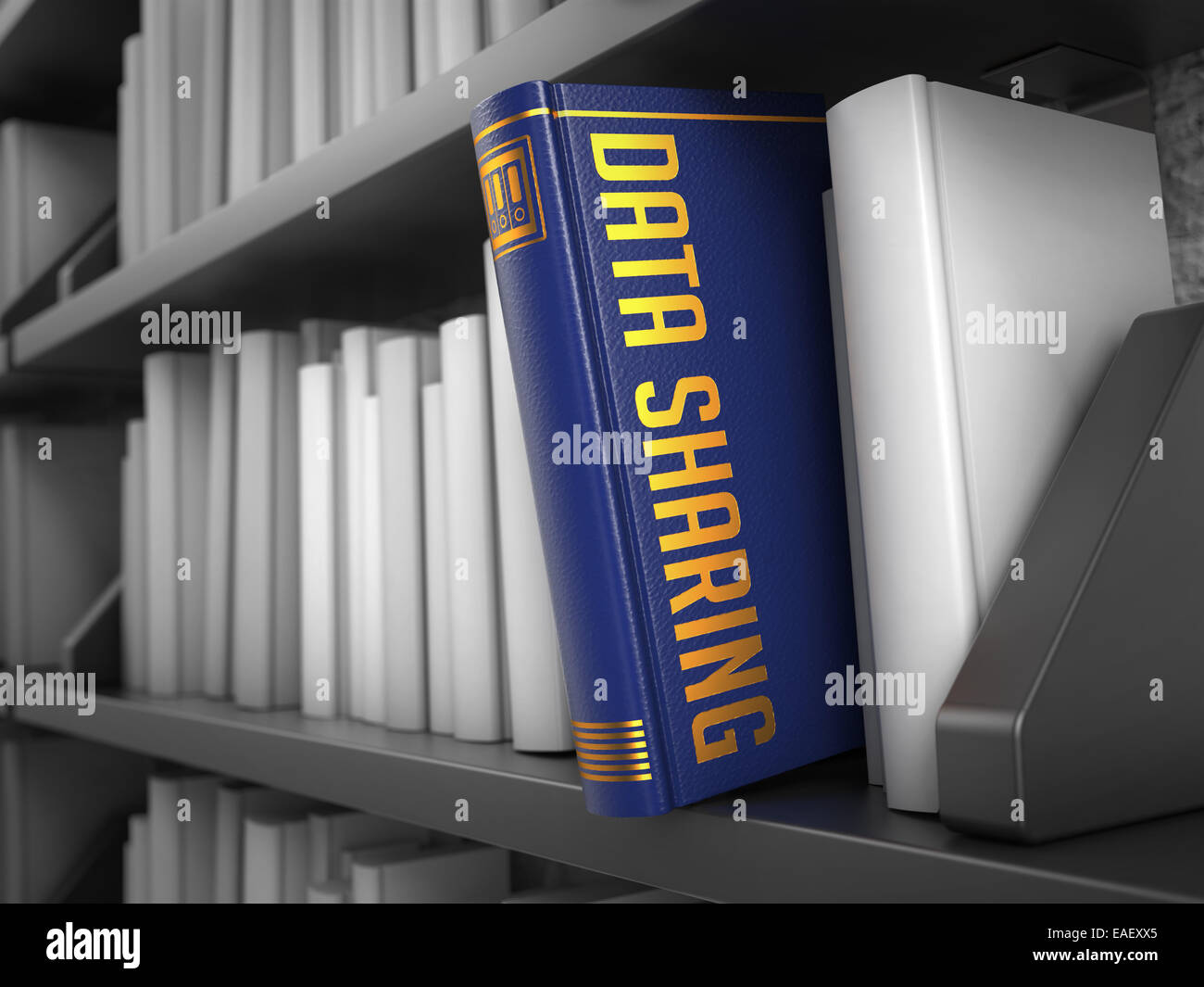 La condivisione dei dati - Titolo del libro. Foto Stock