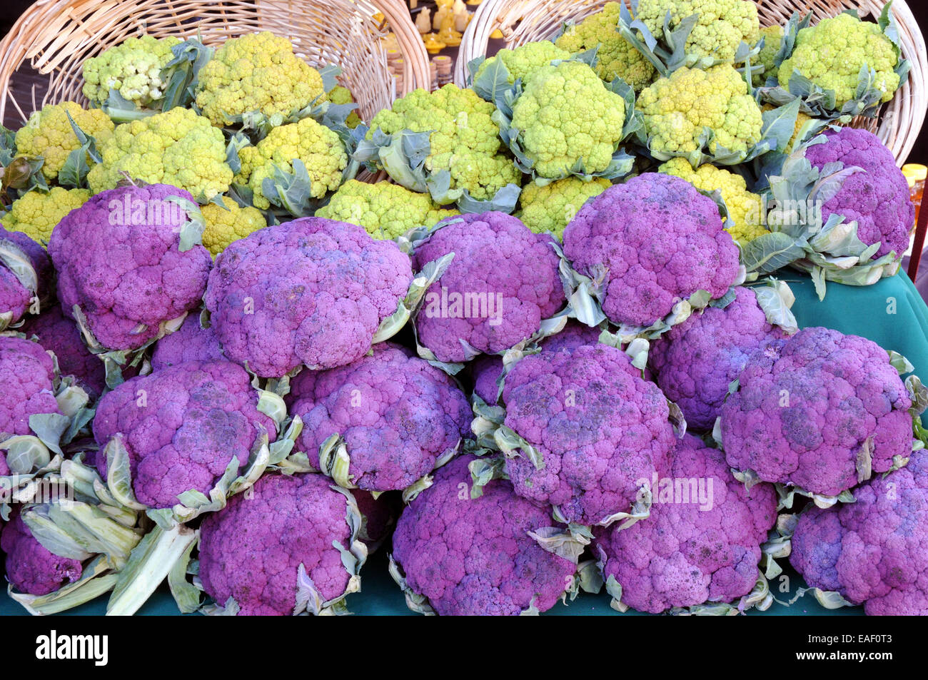 Broccoli freschi in vendita presso il mercato settimanale di Monterey in California. Foto Stock