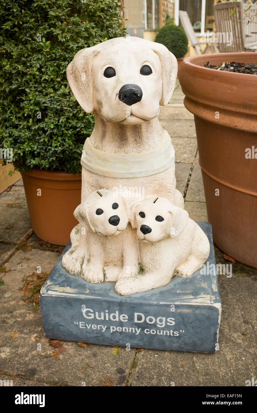 I cani guida Charity Box Foto Stock