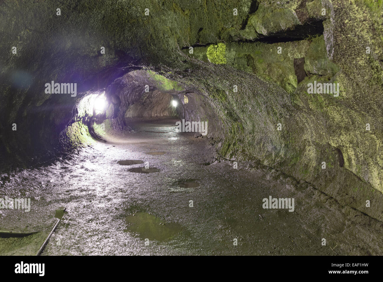 Thurston tubo di lava, Hawaii, STATI UNITI D'AMERICA Foto Stock