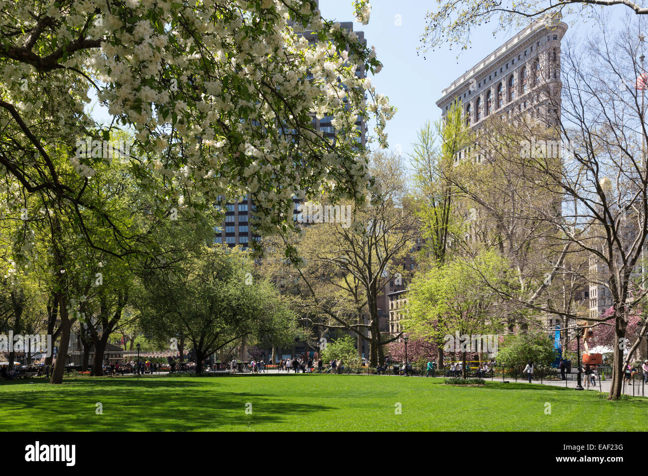 Madison Square Park e Flatiron Building in primavera, NYC Foto Stock