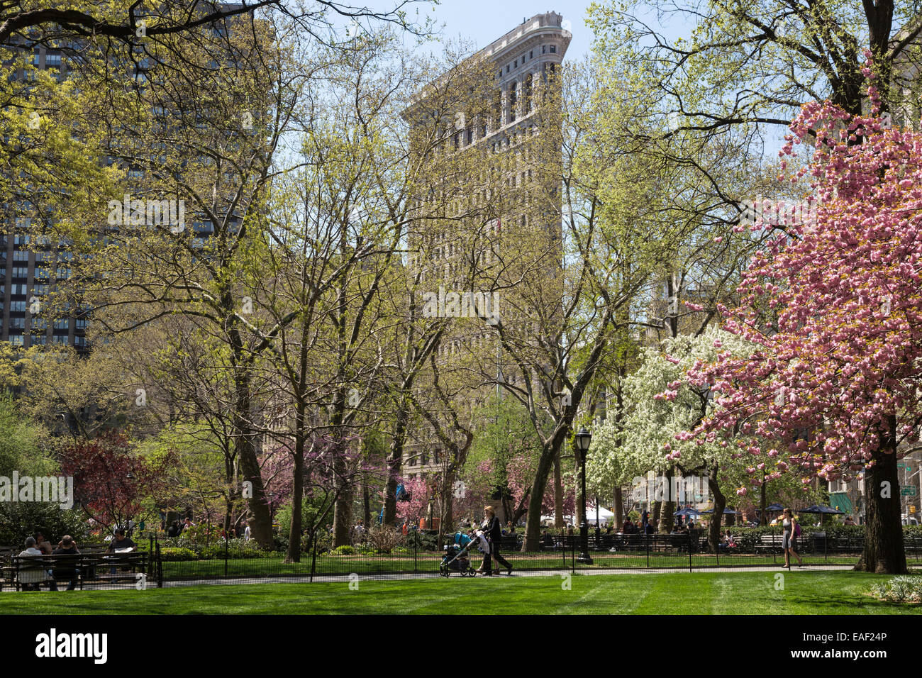 Madison Square Park e Flatiron Building in primavera, NYC Foto Stock
