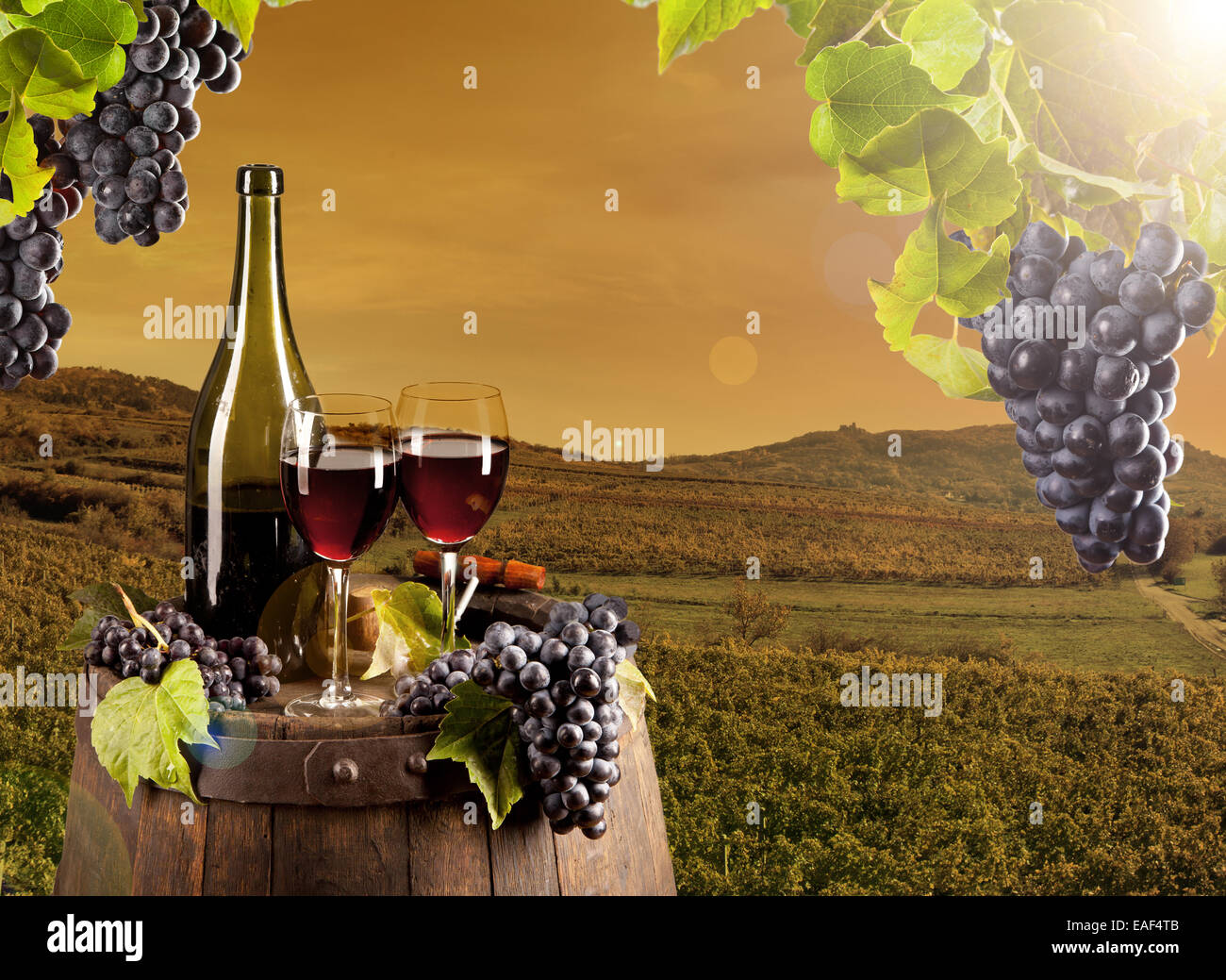 Dettaglio del vino con il barile sul vigneto Foto Stock