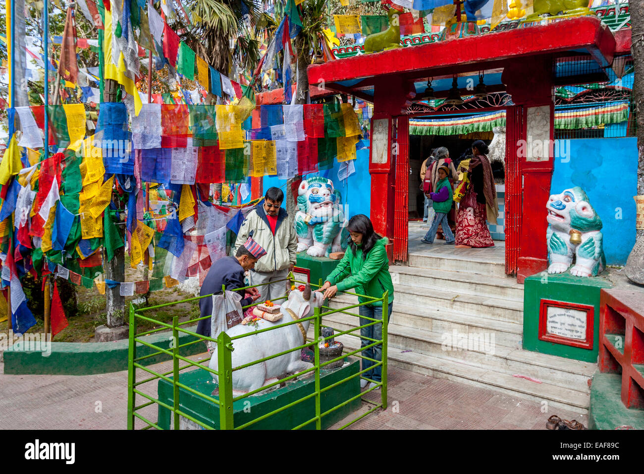 Mahakal Tempio e santuario buddista, Osservatorio Hill, Darjeeling, West Bengal, India Foto Stock