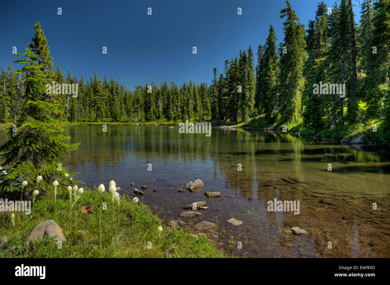 Cucchiaio Lago, nel Warm Springs Indian Reservation, Oregon Foto Stock