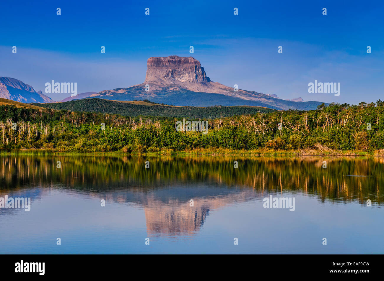 Vedute panoramiche del vecchio capo Mountain, da avamposto di polizia Lake Provincial Park Alberta, Canada Foto Stock